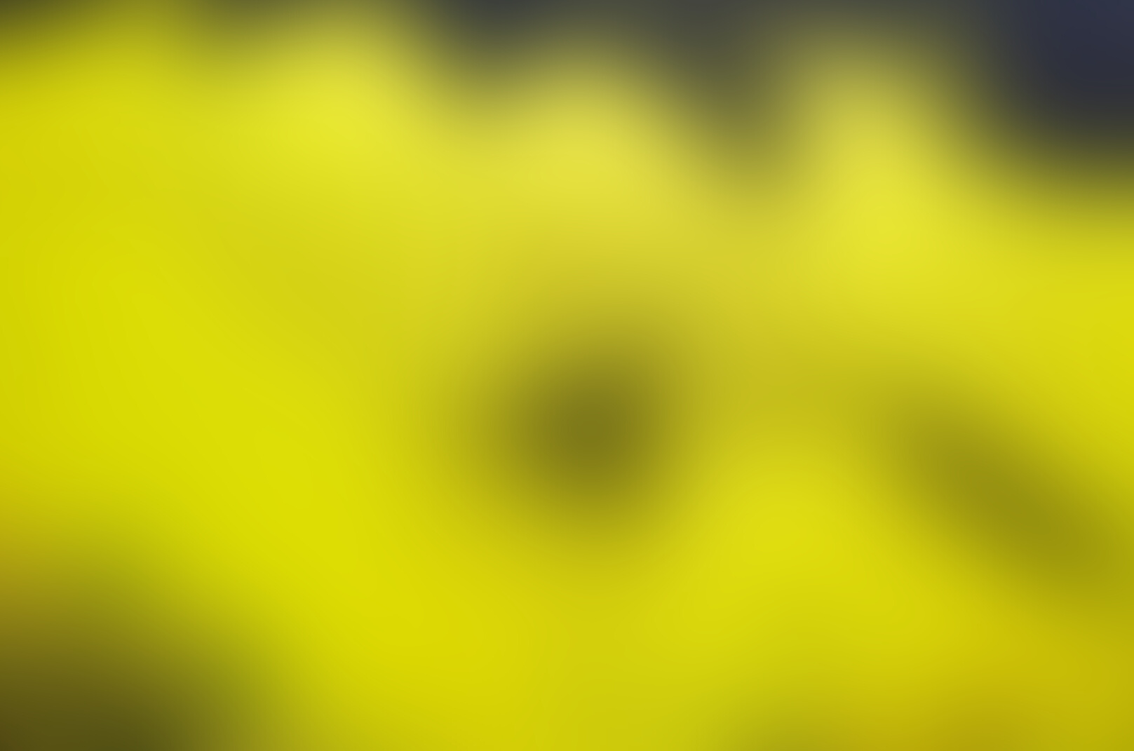 Yellow and Black Abstract Painting